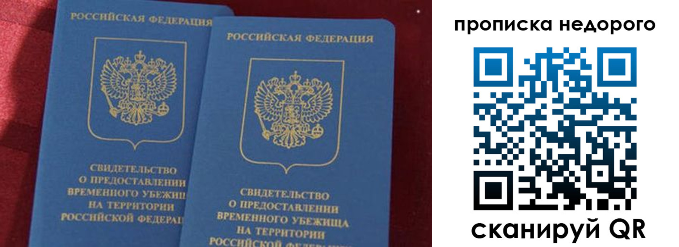 прописка гарантия в Мончегорске